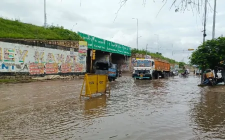बारिश के बाद राजपुरा में गहराया बाढ़ का संकट, जलभराव की वजह से जनजीवन हुआ अस्त-व्यस्त