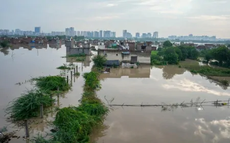 पंजाब में 1988 के बाद की सबसे भयानक बाढ़, 23 जिलों में 16 सौ से ज्यादा गांव बाढ़ से प्रभावित