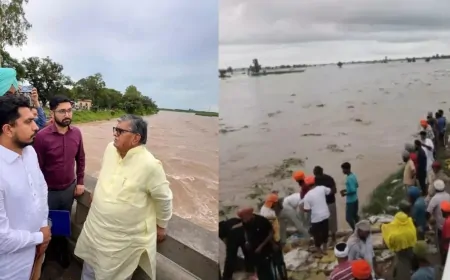 राज्यपाल ने रोपड़ हेडवर्क्स का दौरा किया, प्रभावित लोगों को उचित मुआवजा दिया जाएगा- कटारिया