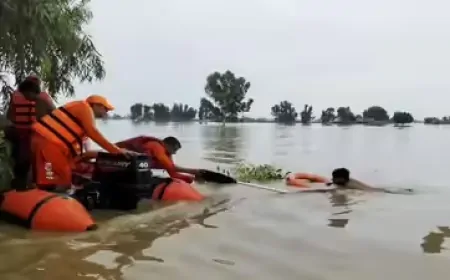 भारत-पाकिस्तान सीमा पर बाढ़ से बेहाल, सीमा पर लगी फेंसिंग को पहुंचा नुकसान