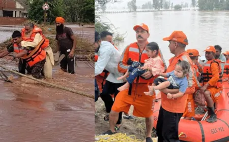 पंजाब में बाढ़ से हालात गंभीर, बजुर्ग को सांप ने डसा, सेना के जवान ने बचाई जान 