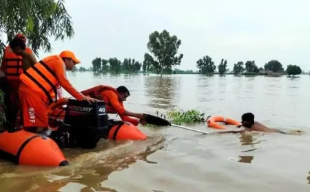 पंजाब के सभी जिलों में बाढ़ का असर, 21 हजार से ज्यादा लोगों को निकाला गया सुरक्षित 