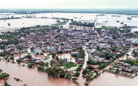 बाढ़ की चपेट में आए अमृतसर के 190 गांव, 5 लोगों की मौत, कई घर हुए तबाह 