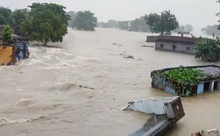 पंजाब में बाढ़ से हाहाकार ! धुस्सी बांध टूटने से धान और अन्य फसलों को पहुंचा नुकसान