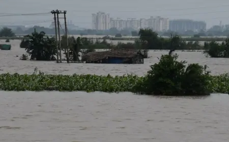 यमुना का घटा जलस्तर...बाढ़ का खतरा बरकरार, कई इलाकों में जलभराव ने बढ़ाई परेशानी