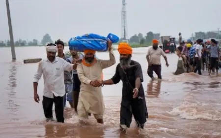 पंजाब के सभी जिलों में बाढ़ का असर, करीब 1.74 लाख हेक्टेयर फसल बर्बाद