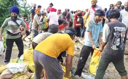 पंजाब में बाढ़ बानी आफत, रिंग बांध को पक्का करने में जुटा प्रशासन