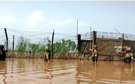 भारत-पाकिस्तान सीमा पर भी बाढ़ का असर, बाढ़ के बावजूद देश की सुरक्षा में तैनात BSF के जवान