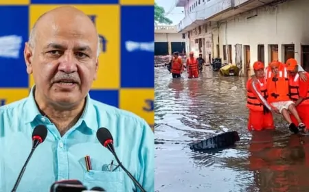 पंजाब में बाढ़ से जनजीवन अस्त-व्यस्त, AAP नेता मनीष सिसोदिया ने की प्रेस कॉन्फ्रेंस