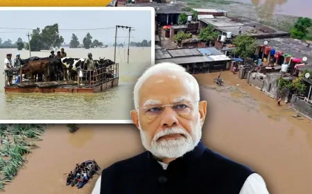 9 सितंबर को पंजाब जाएंगे PM नरेंद्र मोदी, बाढ़ प्रभावित इलाकों का करेंगे दौरा