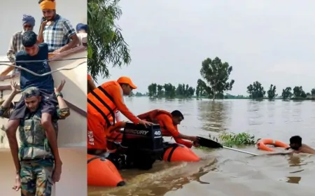 पंजाब के सभी जिलों में बाढ़ का असर, बरनाला, बाढ़ के बाद NDRF-सेना की टीमों ने संभाला मोर्चा