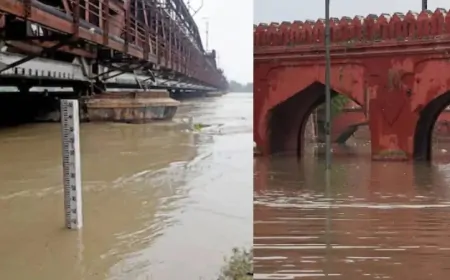 दिल्ली में लगातार घट रहा यमुना का जलस्तर, पांच दिन बाद खतरे के निशान से नीचे आई यमुना