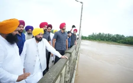 'आप' सरकार की संवेदनशील पहल से बाढ़ में फंसे पशुओं को भी मिली राहत