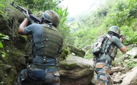 कुलगाम में सुरक्षाबलों की गोलीबारी में दो आतंकी ढेर, सर्च ऑपरेशन जारी