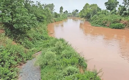 DC ने घग्गर नदी के जलस्तर को लेकर दी जानकारी, नदी के जलस्तर पर प्रसासन की कड़ी नजर- DC