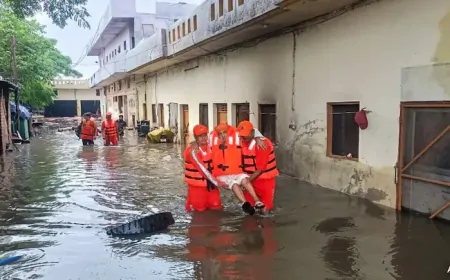 पंजाब में धीरे धीरे हालात हो रहे सामान्य, रावी, सतलुज, ब्यास का तेजी से घट रहा जलस्तर