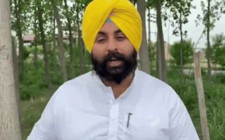 पंजाब पीड़ित है, हमें मदद की जरूरत है- हरजोत बैंस