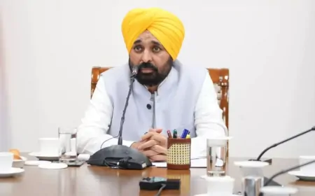 मेरे अस्पताल जाने पर सोशल मीडिया पर मुख्यमंत्री बदलने की फैलाई गई अफवाह- CM मान