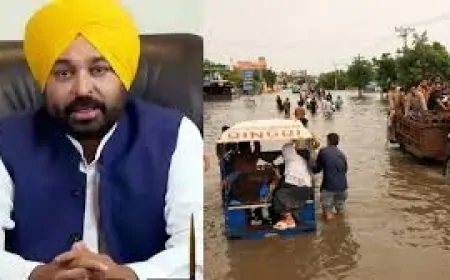 पंजाब में धीरे-धीरे सामान्य हो रहे हालात, बाढ़ के बाद चलाया गया सफाई अभियान