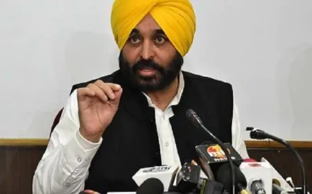 CM मान ने पाकिस्तान के साथ खेले गए मैच को लेकर केंद्र सरकार पर कसा तंज, बोले- ऐसी क्या मजबूरी थी ?