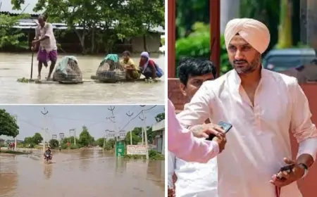 राज्यसभा सांसद हरभजन सिंह ने बाढ़ प्रभावित क्षेत्रों का किया दौरा, पीड़ितों को राहत सामग्री बांटी