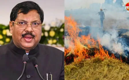 पराली जलाने पर सुप्रीम कोर्ट सख्त,  कुछ किसानों को जेल भेजने से मिलेगी नसीहत