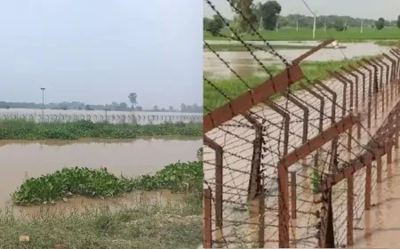 पंजाब में बाढ़ के बाद धीरे-धीरे सामान्य हो रहे हालात, पंजाब में नदियों का तेजी से घट रहा जलस्तर