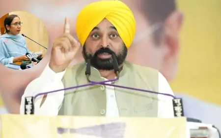 विदेशी पढ़ाई का सपना होगा साकार, पंजाब सरकार देगी फीस, वीज़ा, टिकट और ₹13.17 लाख वार्षिक भत्ता