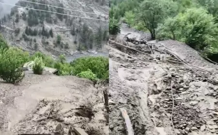 किन्नौर में बादल फटने से मची तबाही, खेतों-बगीचों में भरा पानी, राहत और बचाव कार्यों में जुटी प्रशासन की टीमें