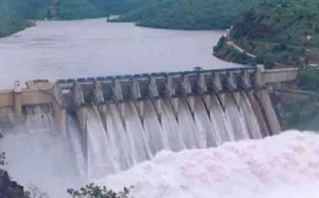 भाखड़ा डैम से अतिरिक्त पानी छोड़ने पर विवाद, पंजाब के विरोध के बाद झुका BBMB