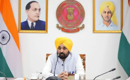 बाढ़ से हुए नुकसान के आकलन में जुटी पंजाब सरकार, केंद्र को तीन महीने में रिपोर्ट सौंपने की तैयारी