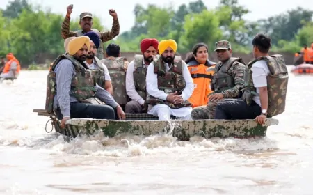बाढ़ से हुए नुकसान के आकलन में जुटी पंजाब सरकार, केंद्र सरकार को तीन महीने में रिपोर्ट सौंपने की तैयारी