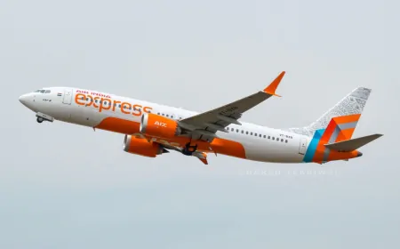 हवा में Air India Express का कॉकपिट खोलने की कोशिश, CISF ने 9 को हिरासत में लिया