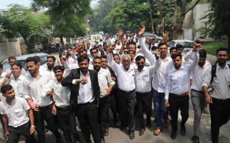 जालंधर में आज भी रहेगा वकीलों का नो वर्किंग डे, एडवोकेट प्रोटेक्शन एक्ट लाने की मांग