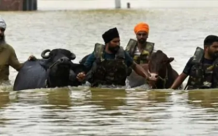 पंजाब सरकार बनी पशुओं की रखवाली की मिसाल, एक हफ्ते में 1.75 लाख से ज़्यादा मवेशियों को ‘गल-घोटू’ बीमारी से बचाया
