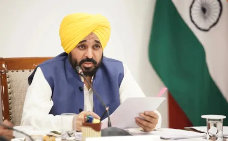 पांच लाख एकड़ बाढ़ प्रभावित जमीन के लिए किसानों को गेहूं का बीज मुफ्त देगी मान सरकार