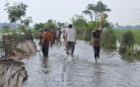 सतलुज नदी ने बदला बहाव, लुधियाना के ससराली में किसानों की हालात चिंताजनक