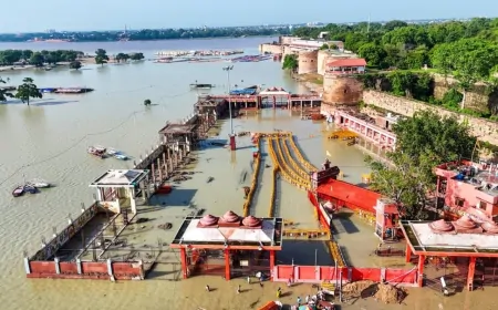 पंजाब में उतरा बाढ़ का पानी... तबाही के निशान बाकी, बाढ़ पीड़ितों की मदद के लिए आगे आई संस्थाएं