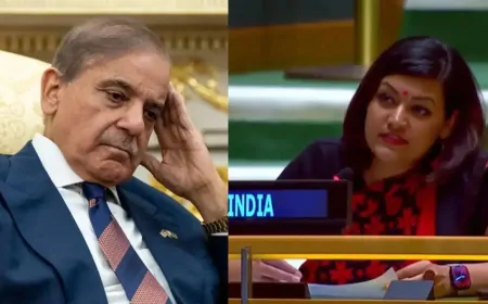 UN में भारत ने पाकिस्तान को दी चेतावनी, कहा- भारत-पाकिस्तान के बीच तीसरे पक्ष की जरूरत नहीं