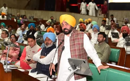 पंजाब विधानसभा के विशेष सत्र का आज आखिरी दिन, सत्र के दौरान कई अहम बिल पेश कर सकती है सरकार