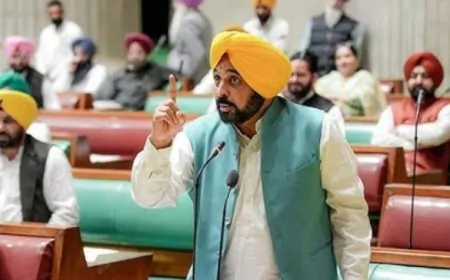 पंजाब विधानसभा के विशेष सत्र का आखिरी दिन, सत्र के दौरान पंजाब बाढ़ के हालातों पर चर्चा