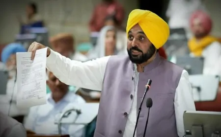 पंजाब में 26% से 100% फसल नुकसान पर बड़ी राहत, ₹20,000 तक का मुआवज़ा और 15 अक्टूबर से चेक मिलना शुरू