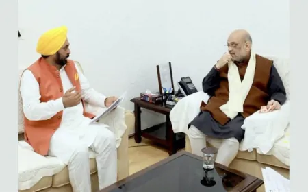 केंद्रीय गृहमंत्री अमित शाह से मिले CM मान, पंजाब में बाढ़ से हुए नुकसान से कराया अवगत