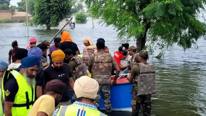 पंजाब में बाढ़ और बारिश से हाहाकार, 10 जिलों में बाढ़ का असर, अब तक 28 लोगों की मौत