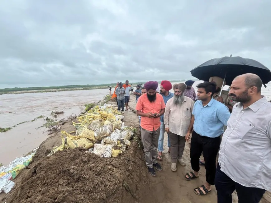 समराला में सतलुज नदी का जलस्तर बढ़ा, DC ने इलाके का लिया जायजा, कई बांधों को पहुंचा नुकसान