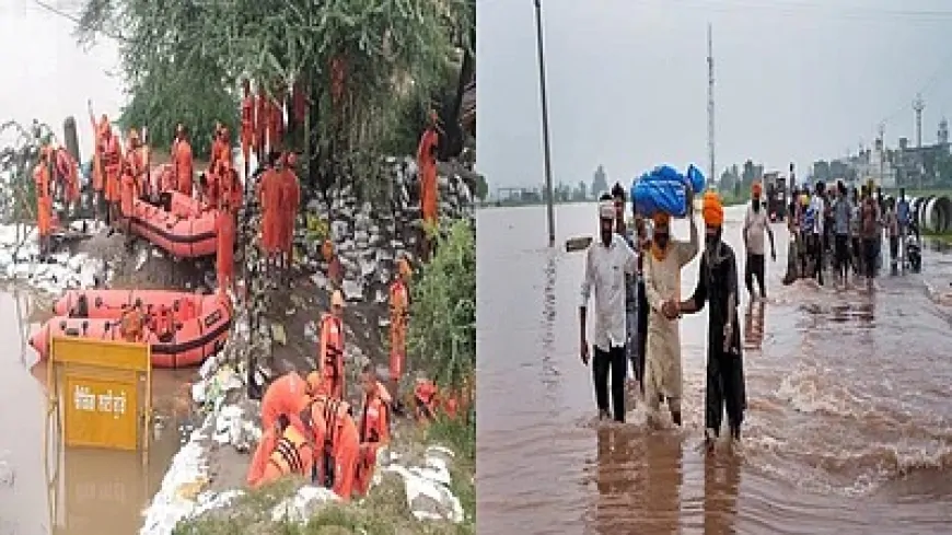 बारिश के बाद पंजाब के सभी जिलों में बाढ़, पीड़ितों की मदद के लिए NDRF की कई टीमें मुस्तैद     