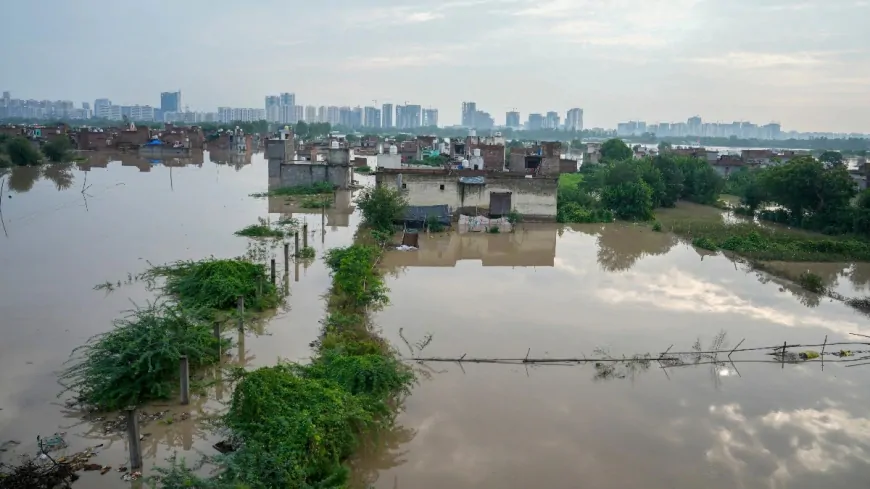 पंजाब में 1988 के बाद की सबसे भयानक बाढ़, 23 जिलों में 16 सौ से ज्यादा गांव बाढ़ से प्रभावित