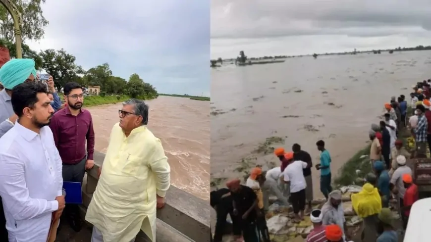 राज्यपाल ने रोपड़ हेडवर्क्स का दौरा किया, प्रभावित लोगों को उचित मुआवजा दिया जाएगा- कटारिया