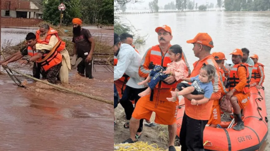 पंजाब में बाढ़ से हालात गंभीर, बजुर्ग को सांप ने डसा, सेना के जवान ने बचाई जान 