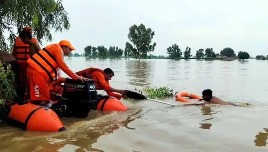 पंजाब के सभी जिलों में बाढ़ का असर, 21 हजार से ज्यादा लोगों को निकाला गया सुरक्षित 